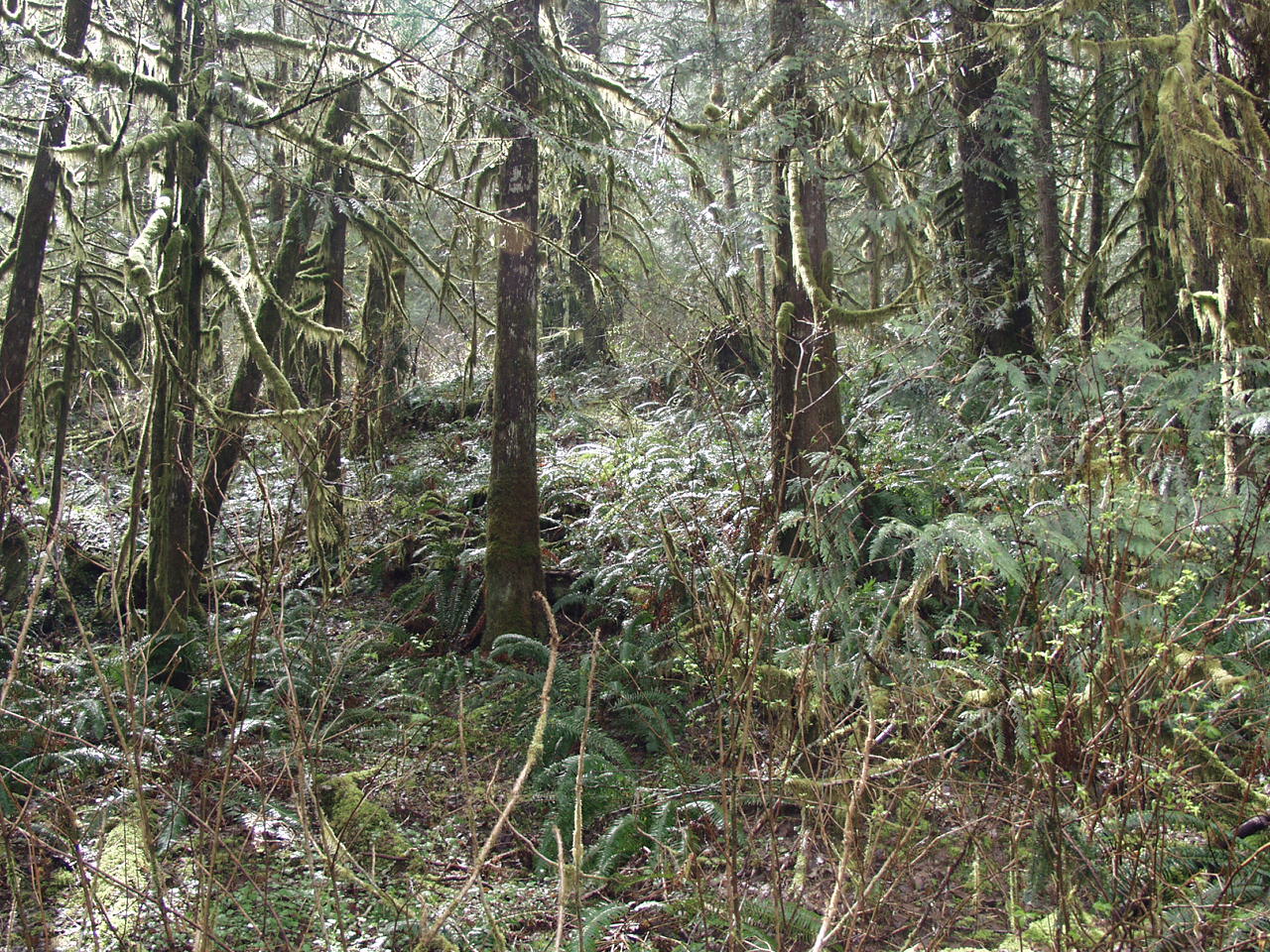 P3170692.JPG