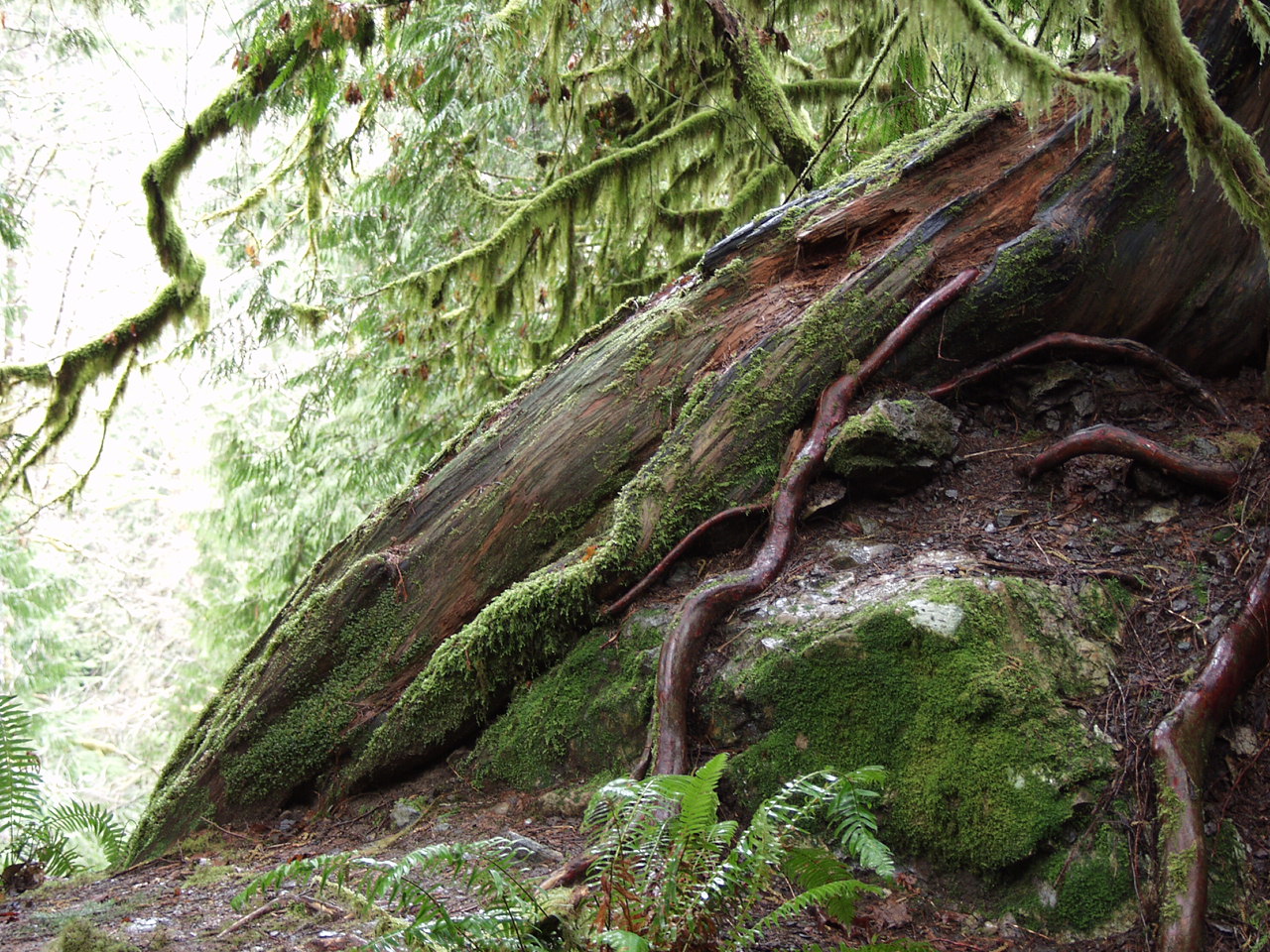 P3170704.JPG