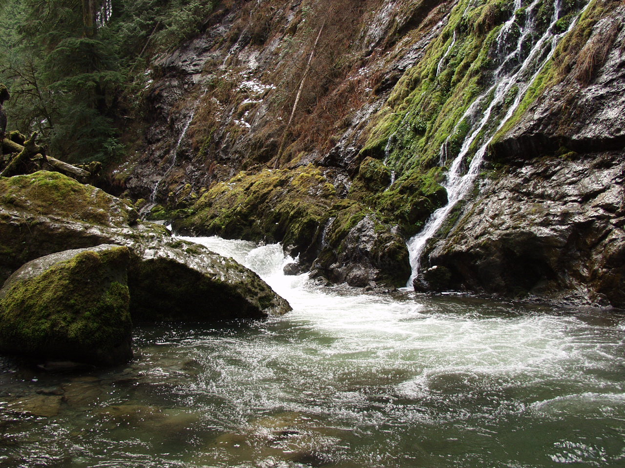 P3170720.JPG
