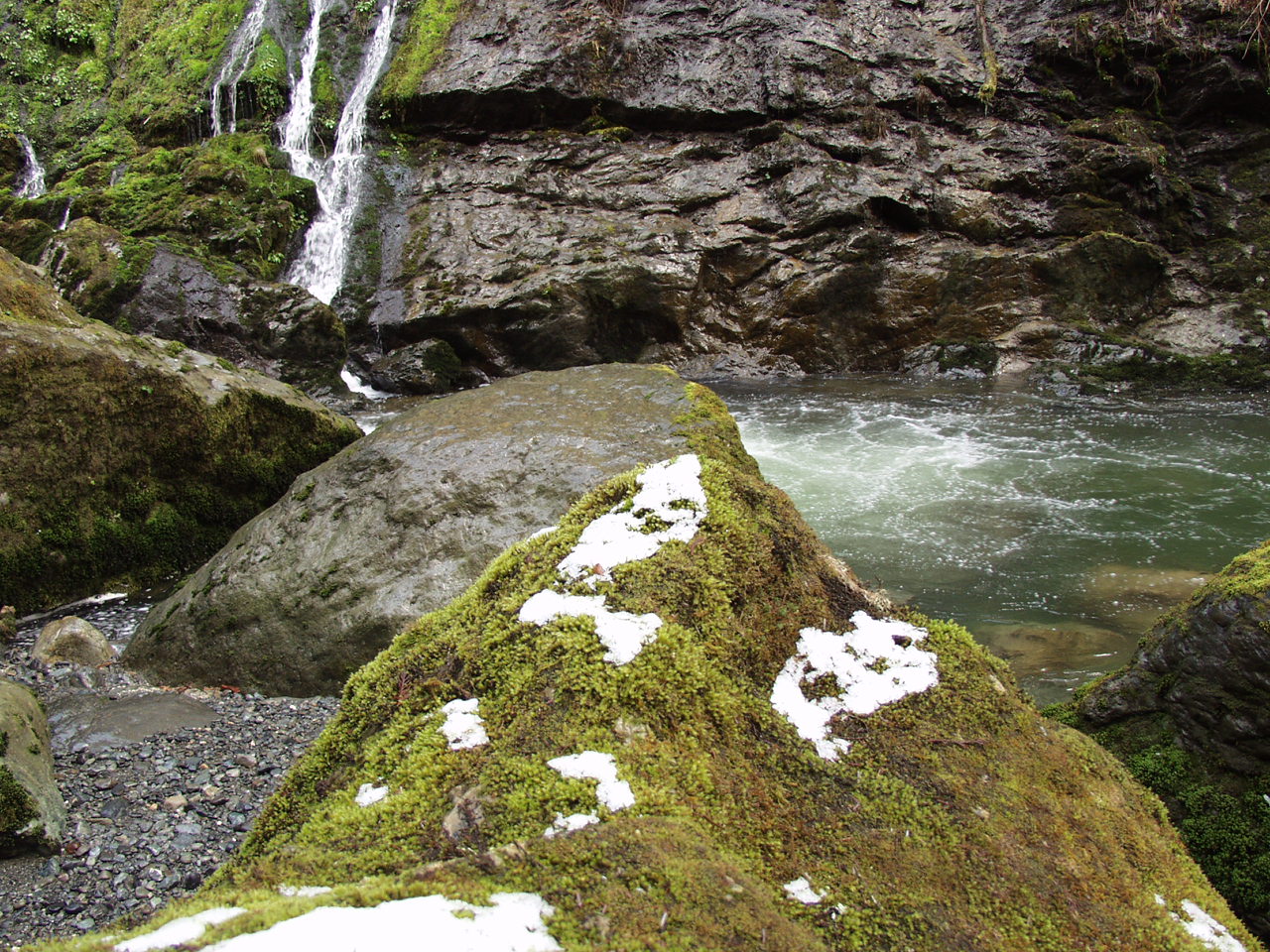 P3170726.JPG