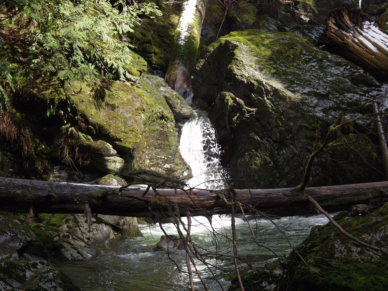 P3170731.JPG