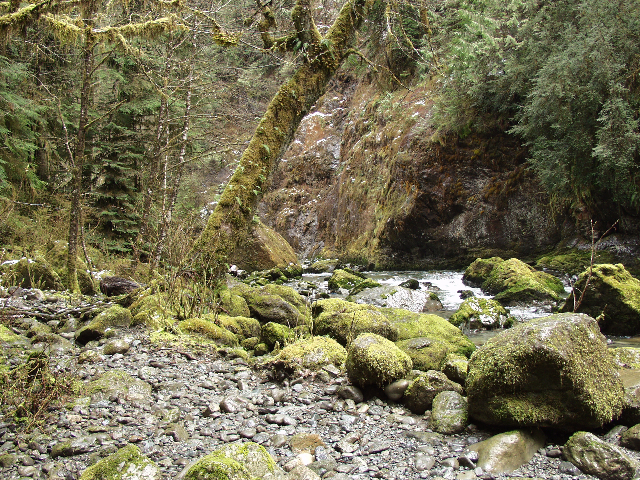 P3170741.JPG