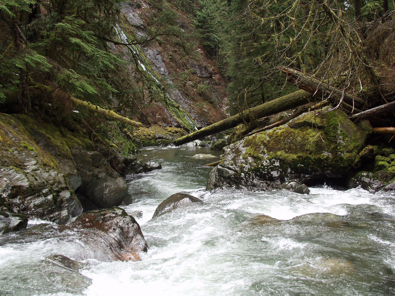 P3170745.JPG