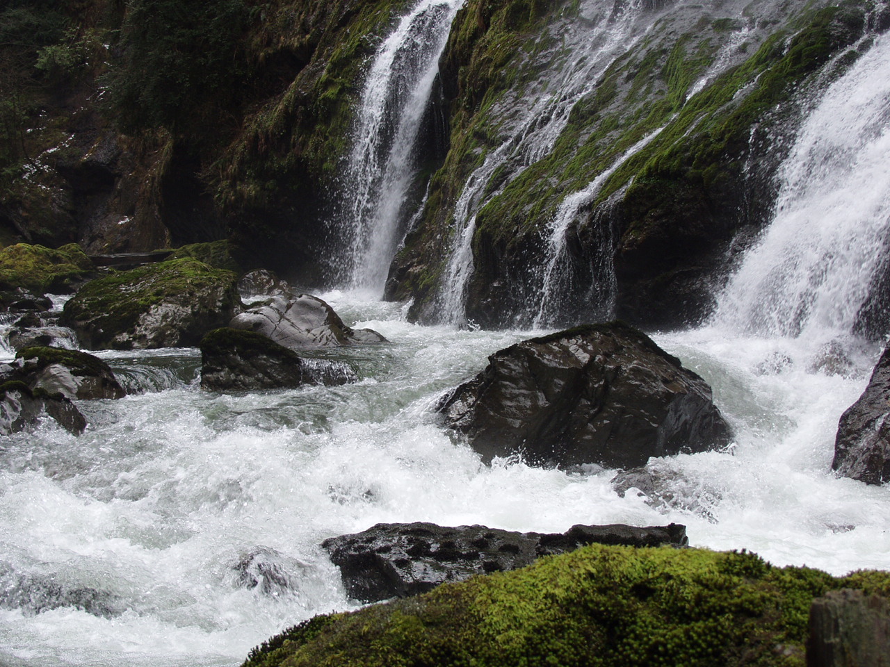 P3170750.JPG