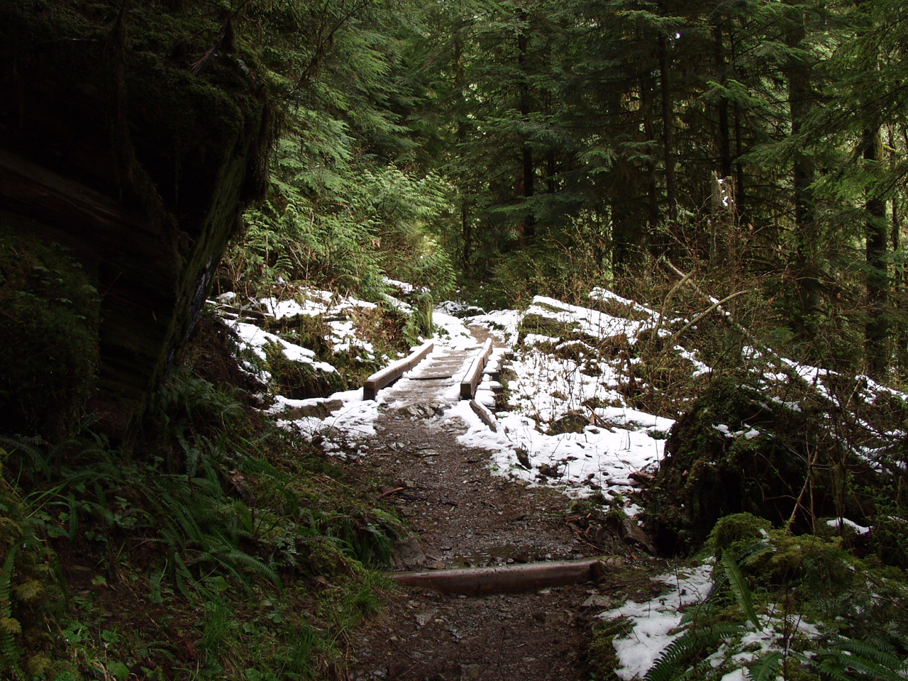 P3170754.JPG