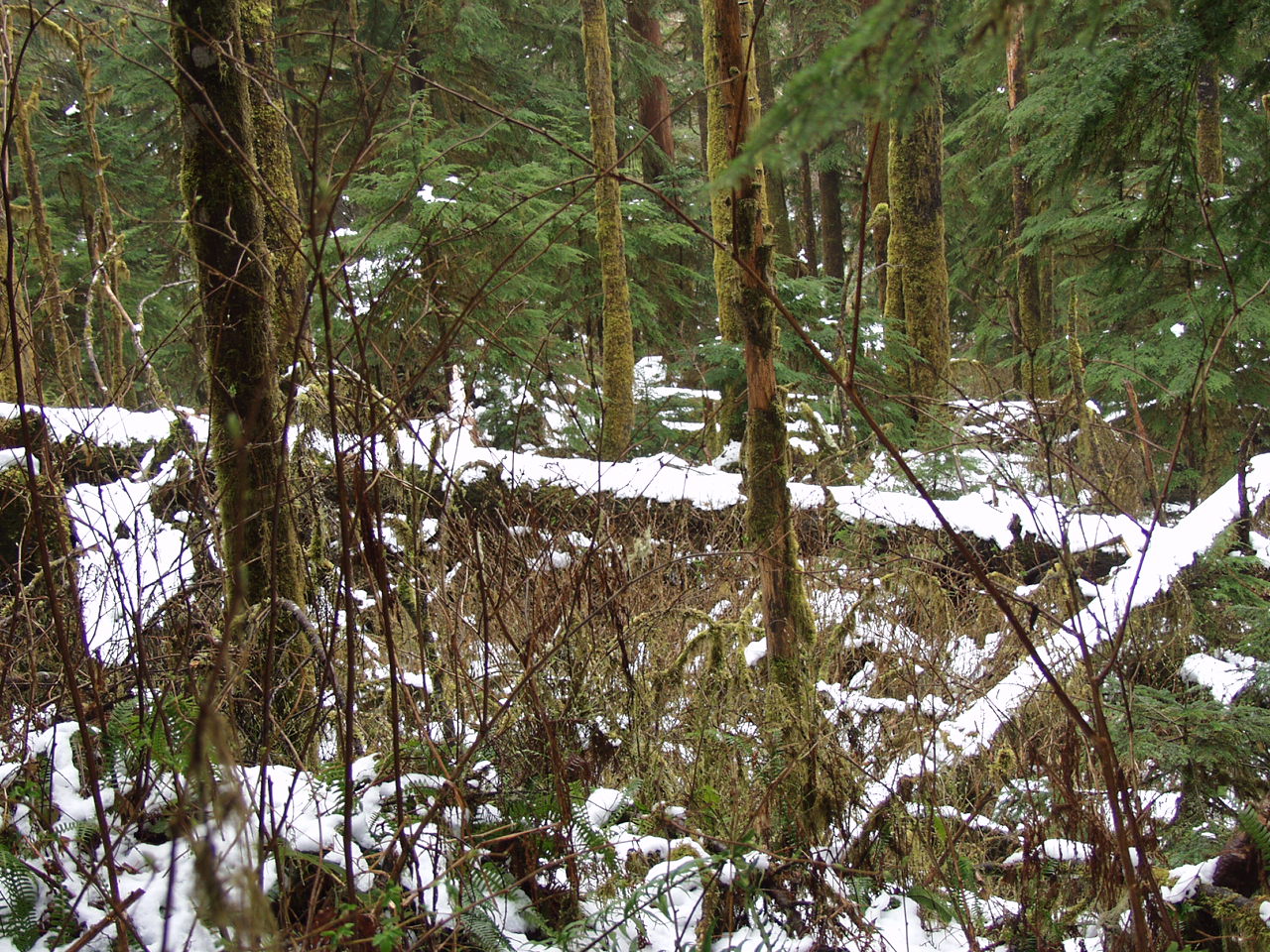 P3170764.JPG