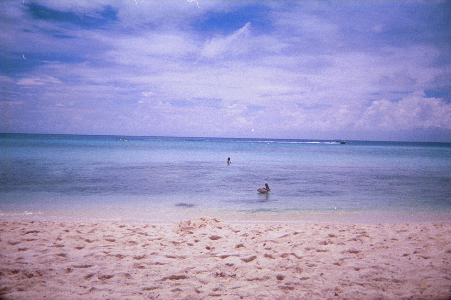 img009.JPG
