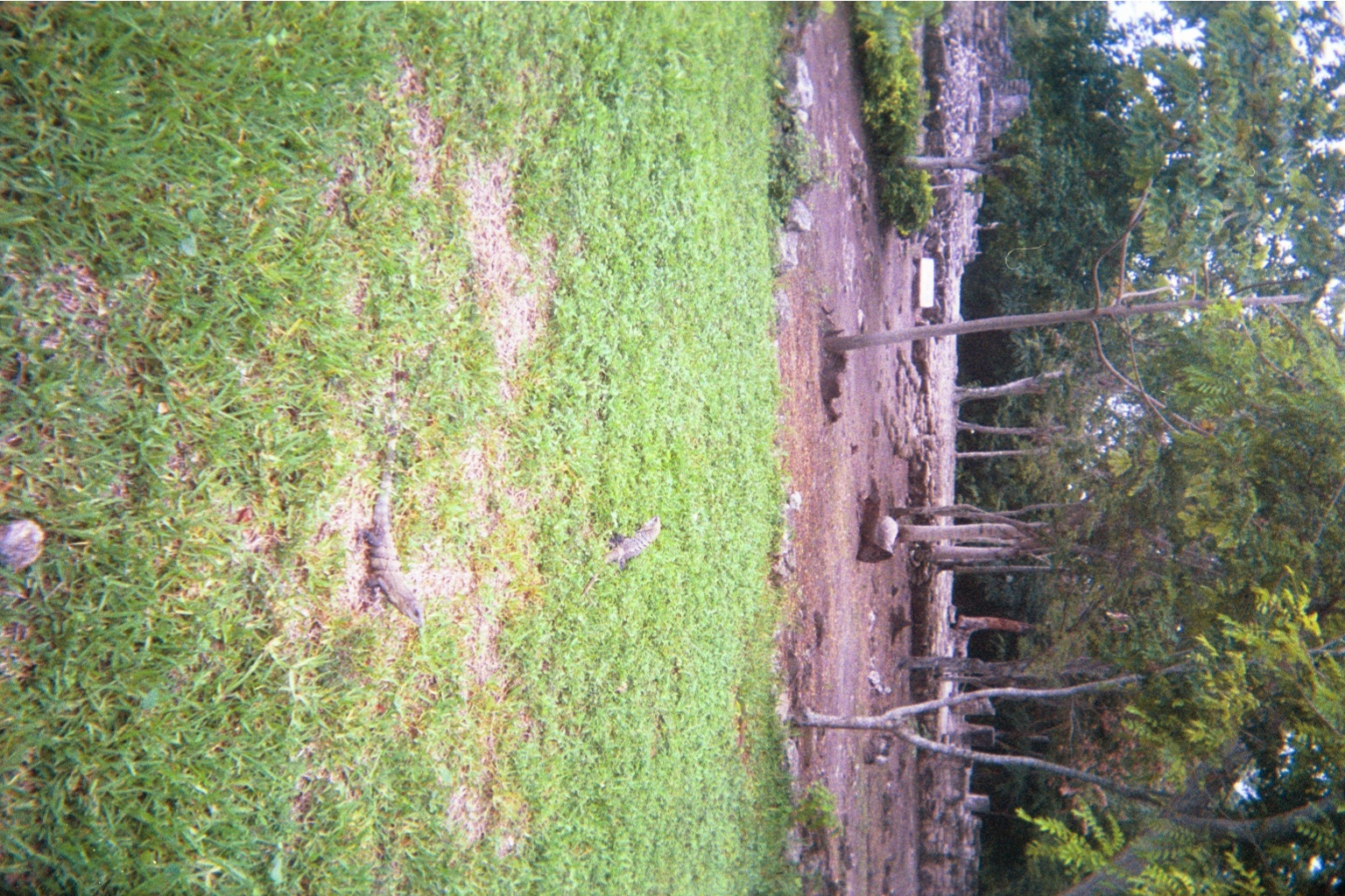 img015.JPG