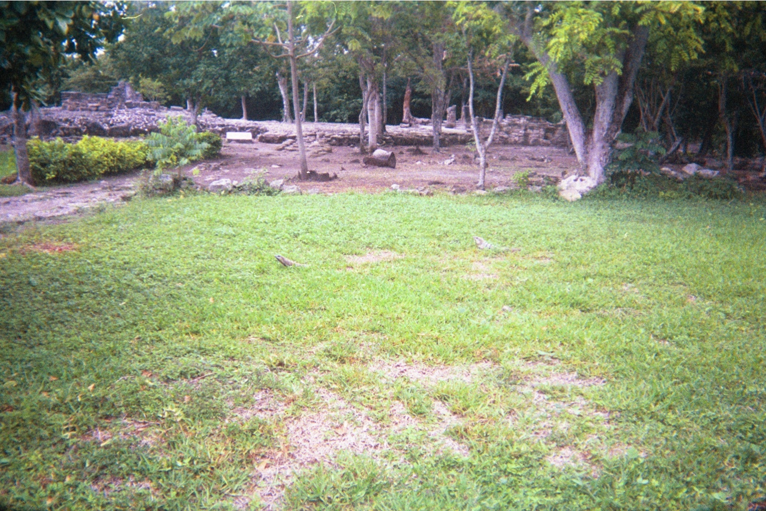 img017.JPG