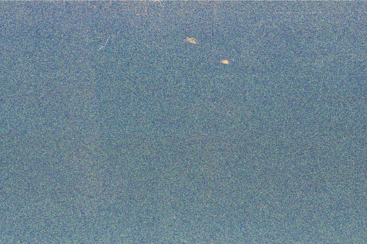 img022.JPG