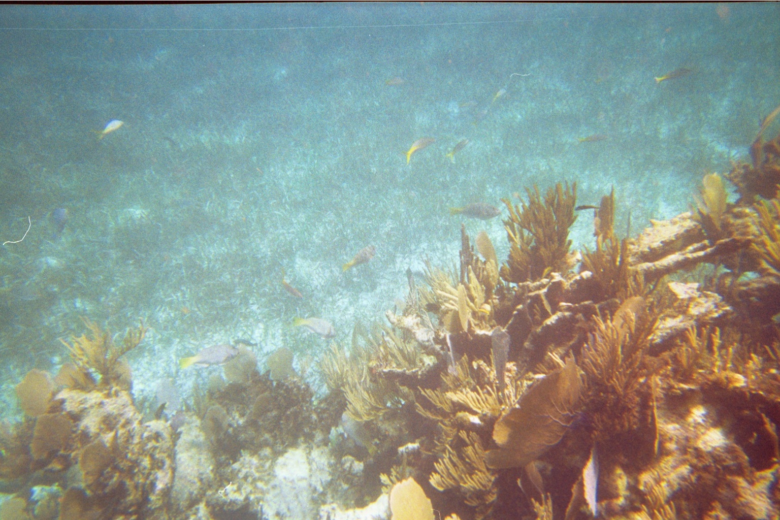 img007.JPG