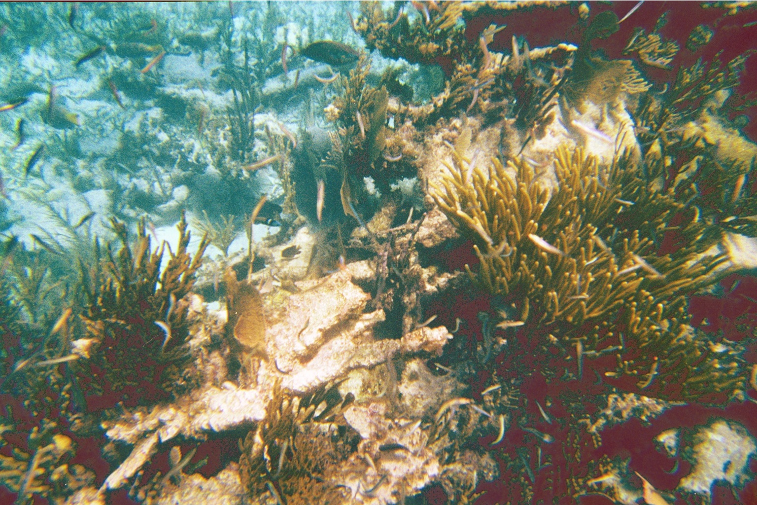 img008.JPG
