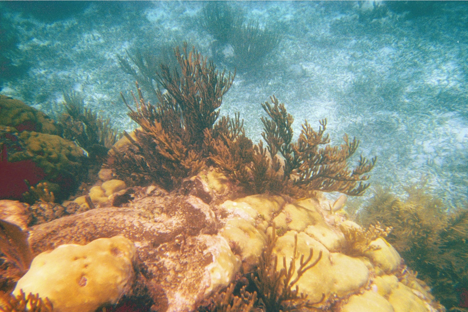 img011.JPG
