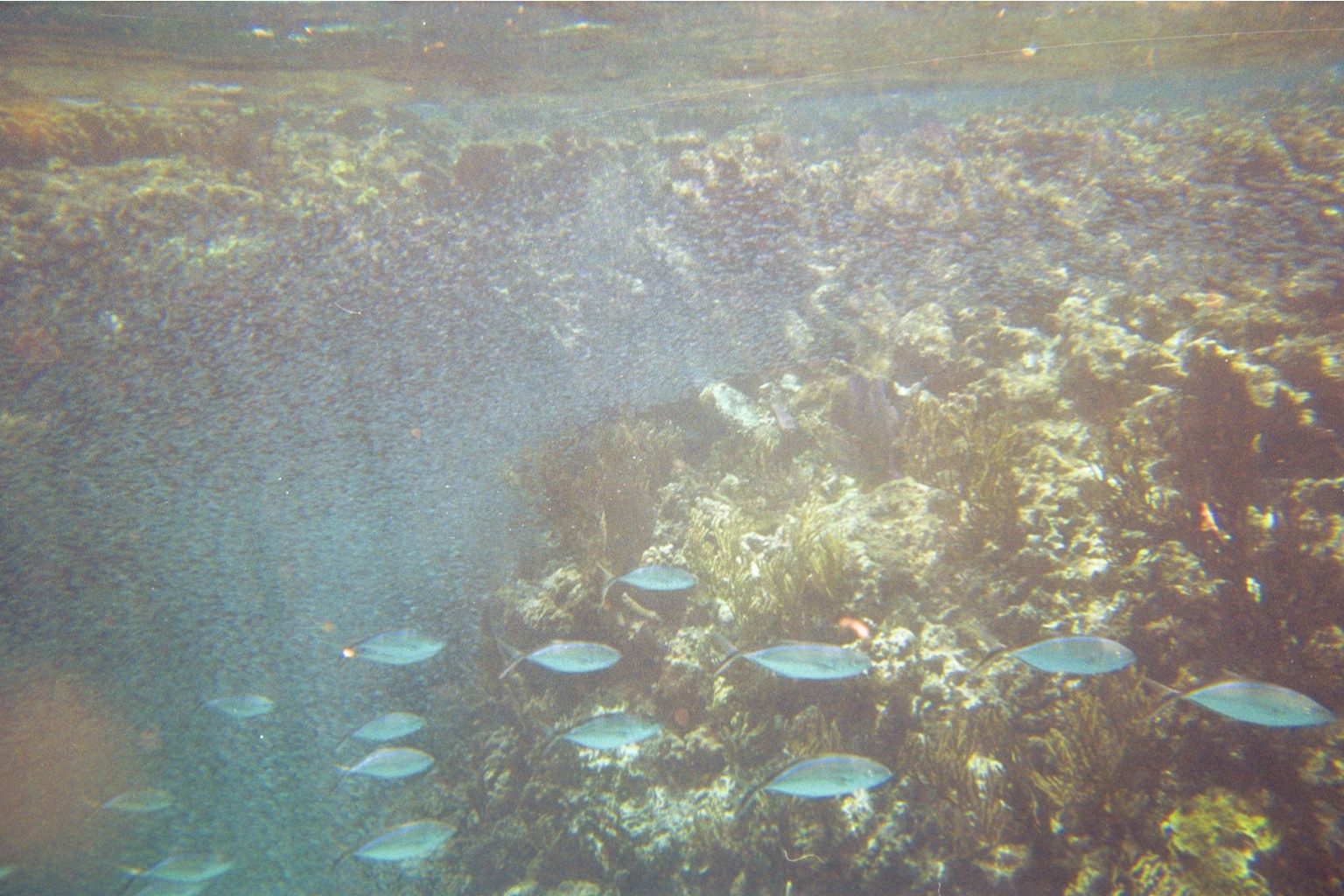 img012.JPG