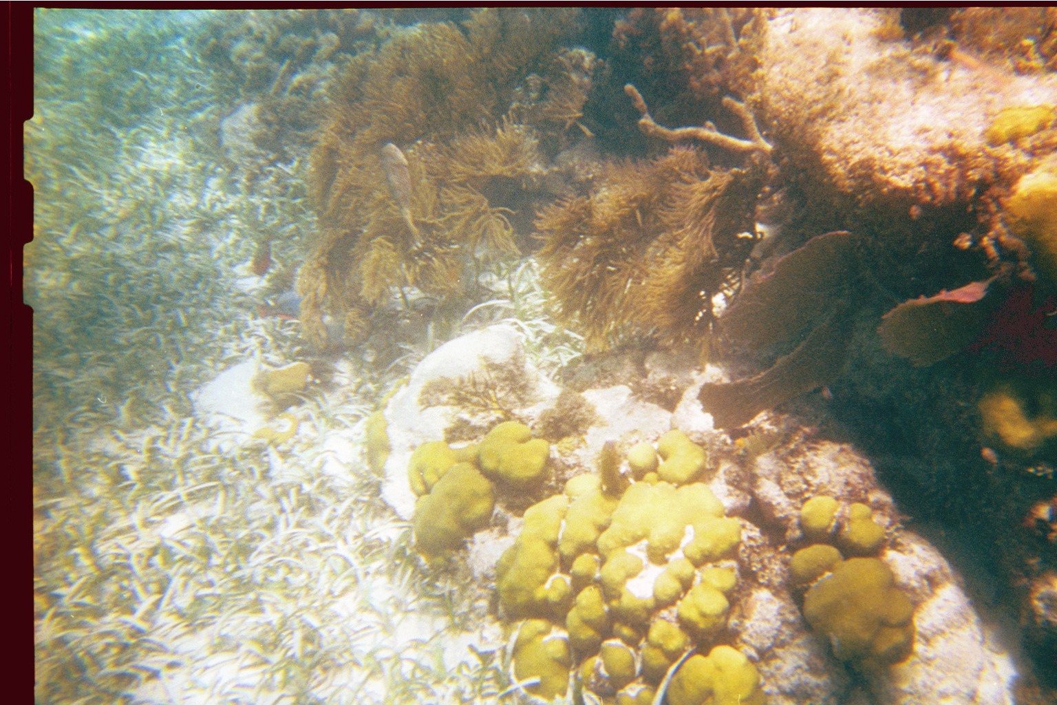 img014.JPG