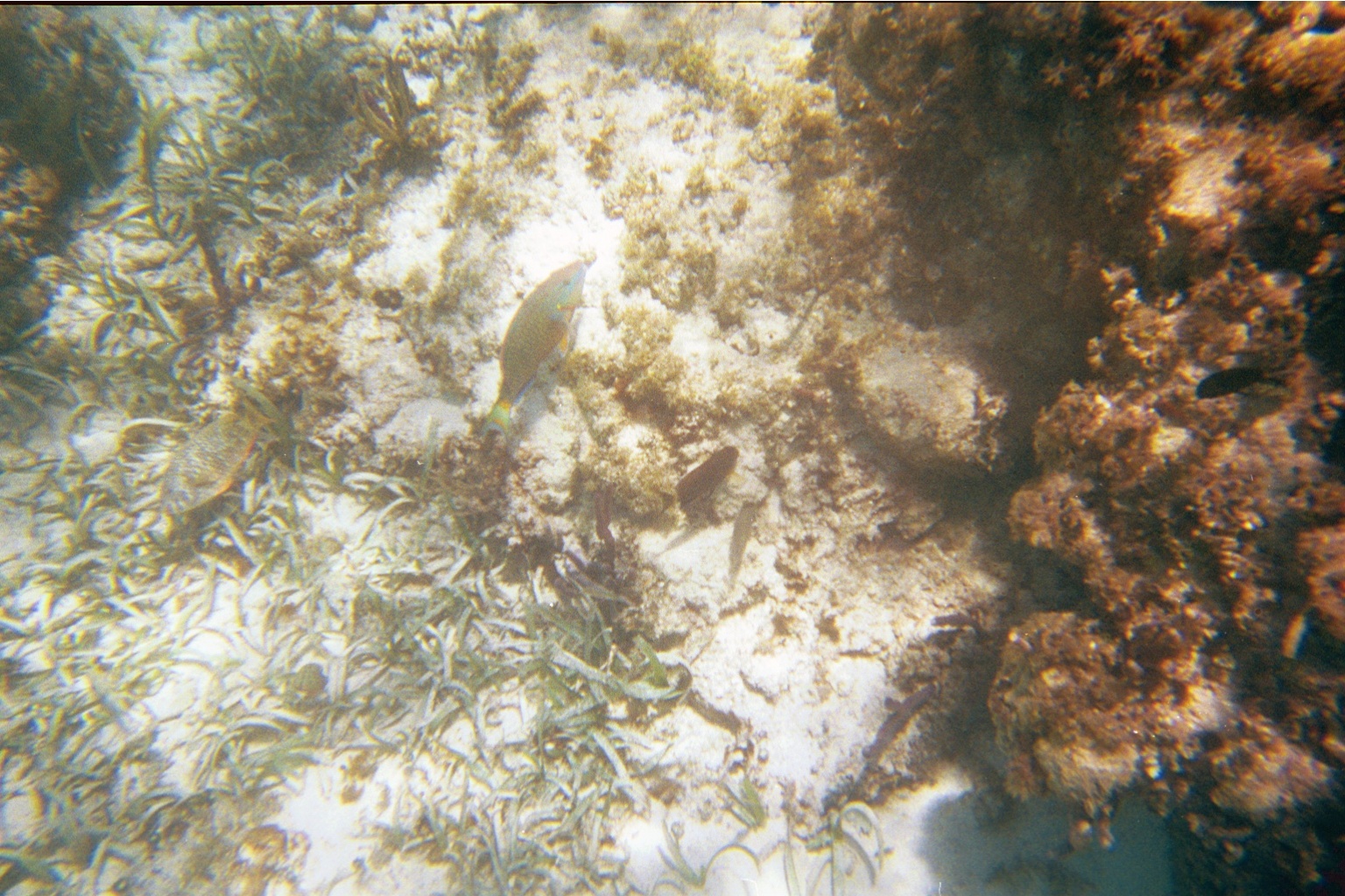 img015.JPG