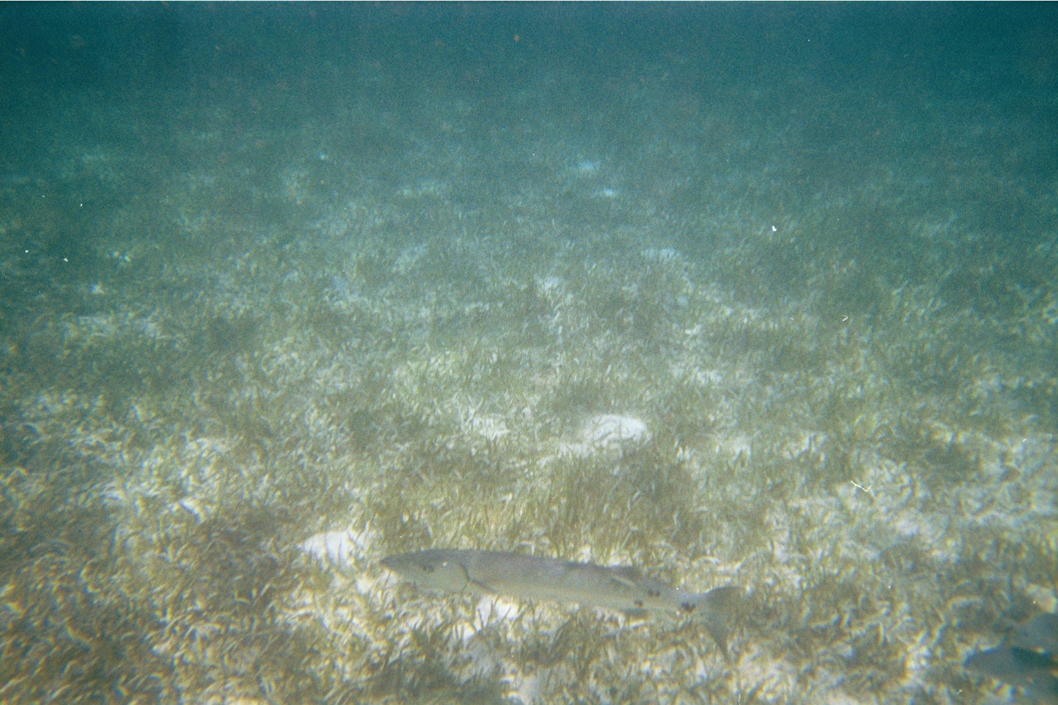 img017.JPG