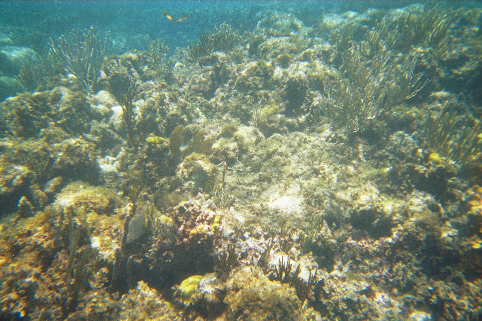 img021.JPG