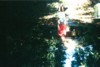 img001.JPG