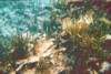 img008.JPG