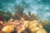 img011.JPG
