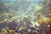img013.JPG
