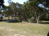 DSC00004.JPG