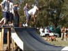 DSC00039.JPG