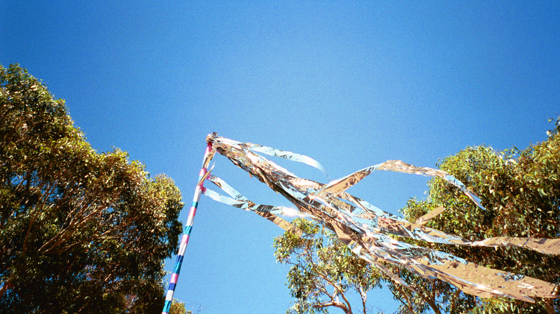 img012.JPG