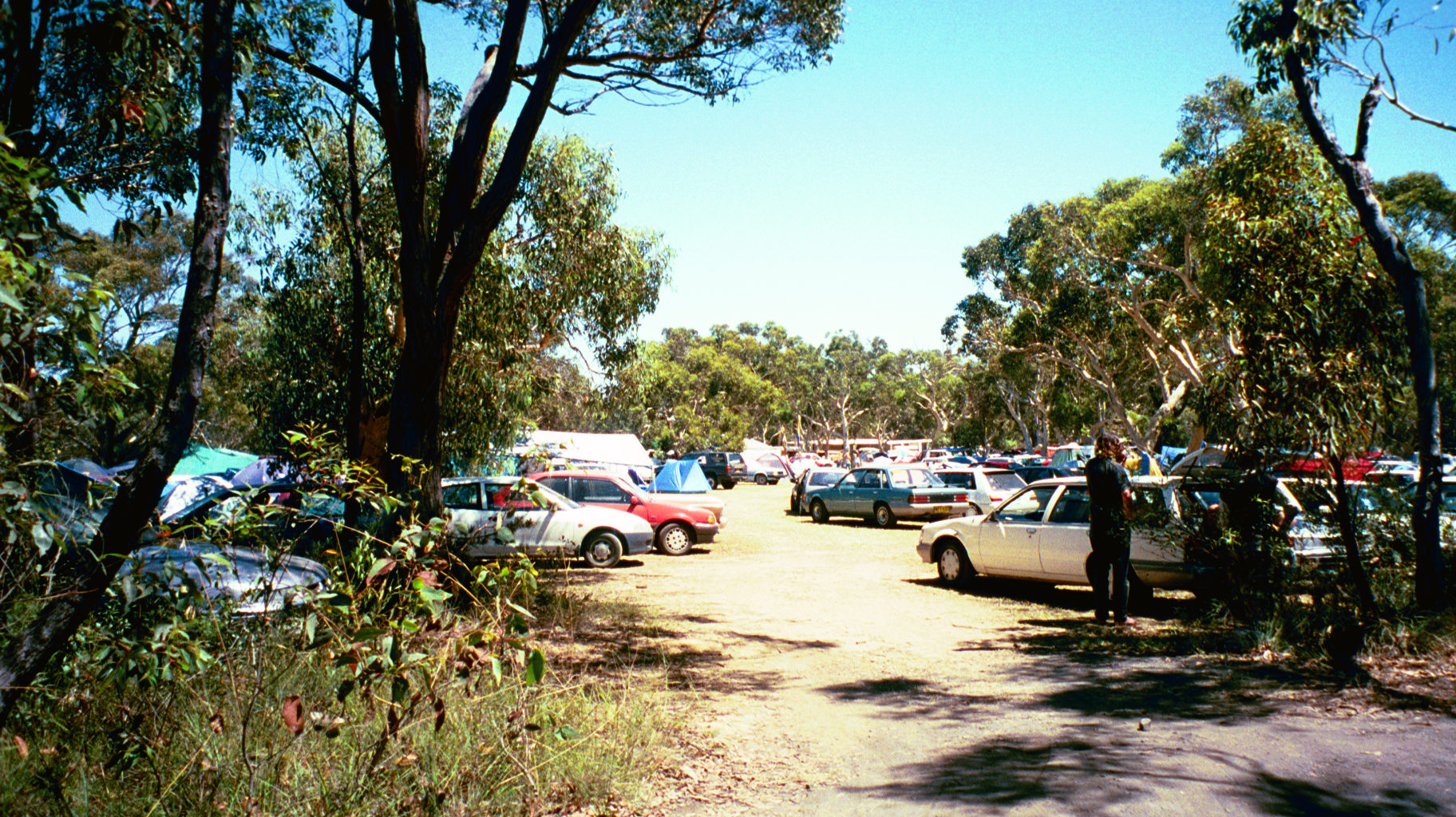 img033.JPG