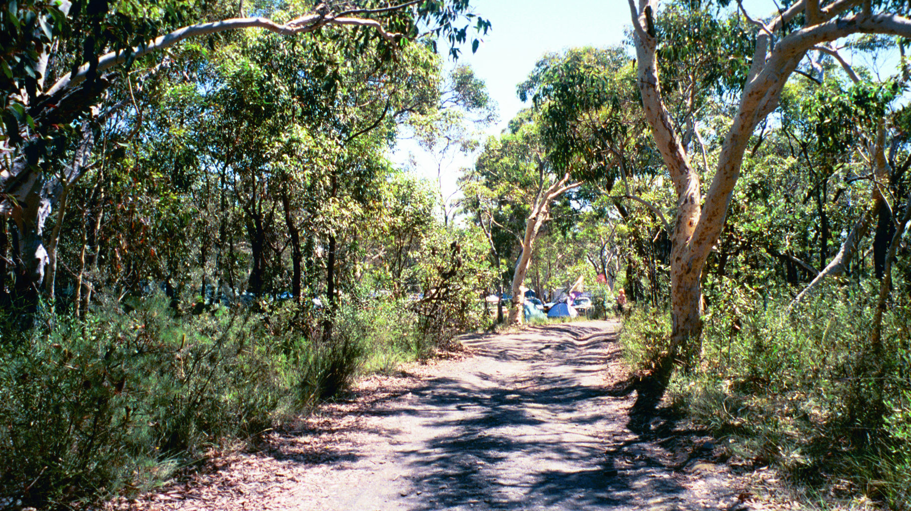 img034.JPG