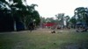 img004.JPG