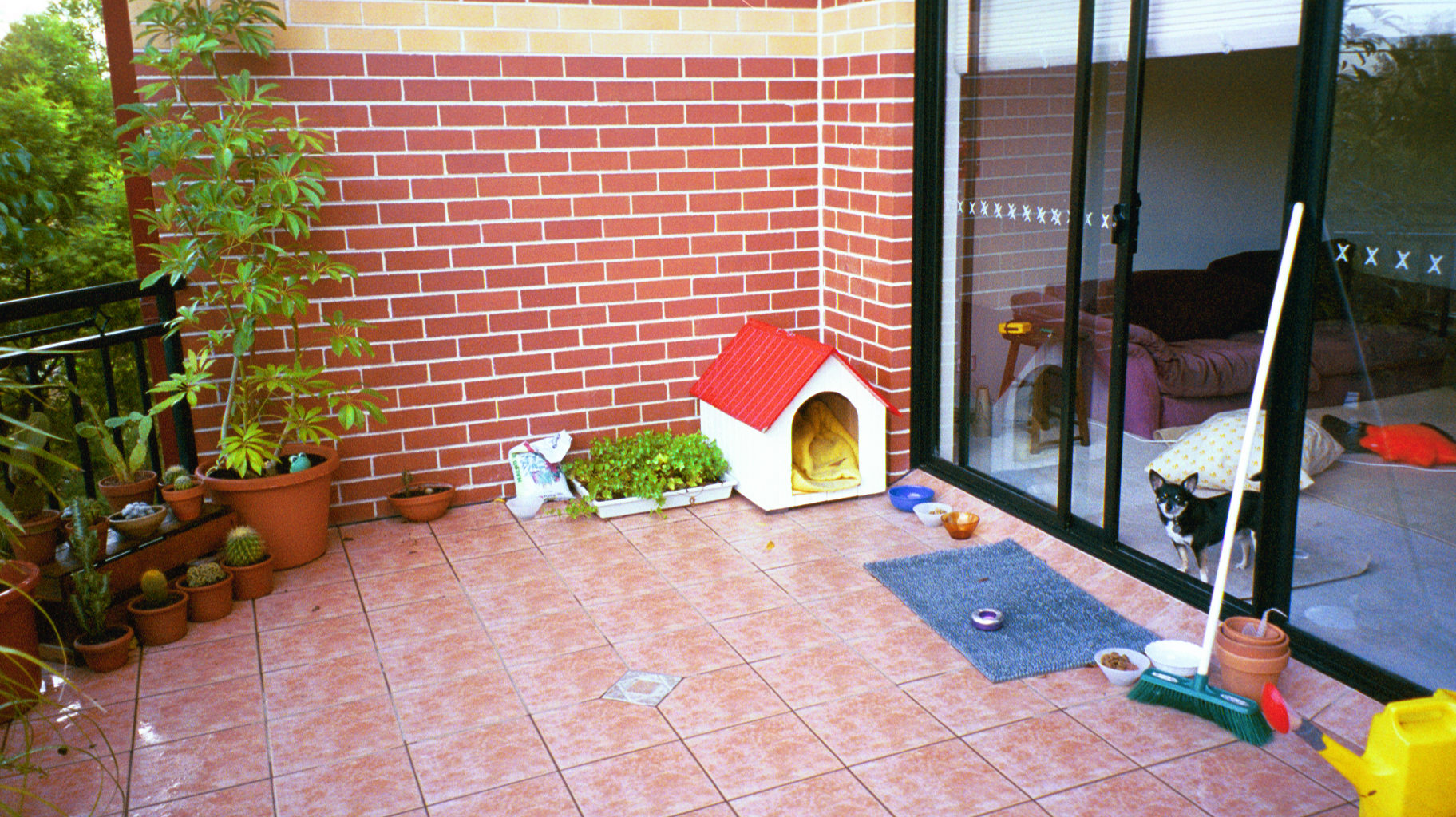 img021.JPG