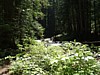 P6091423.JPG