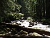 P6091425.JPG