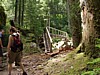 P6091429.JPG