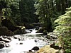 P6091430.JPG