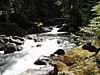 P6091433.JPG