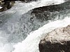 P6091434.JPG