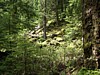 P6091437.JPG