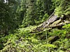 P6091438.JPG