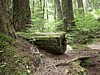 P6091440.JPG