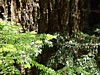P6091444.JPG