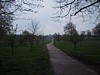 IMG_2241.JPG