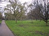 IMG_2242.JPG