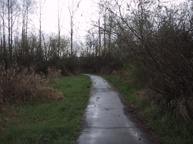 IMG_2187.JPG