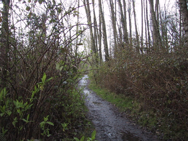 IMG_2195.JPG