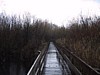 IMG_2193.JPG