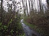 IMG_2195.JPG