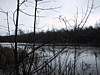 IMG_2197.JPG
